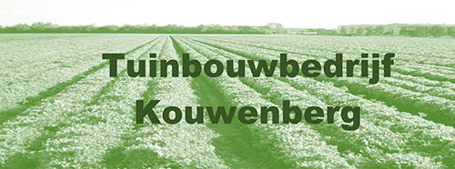 Tuinbouwbedrijf Kouwenberg