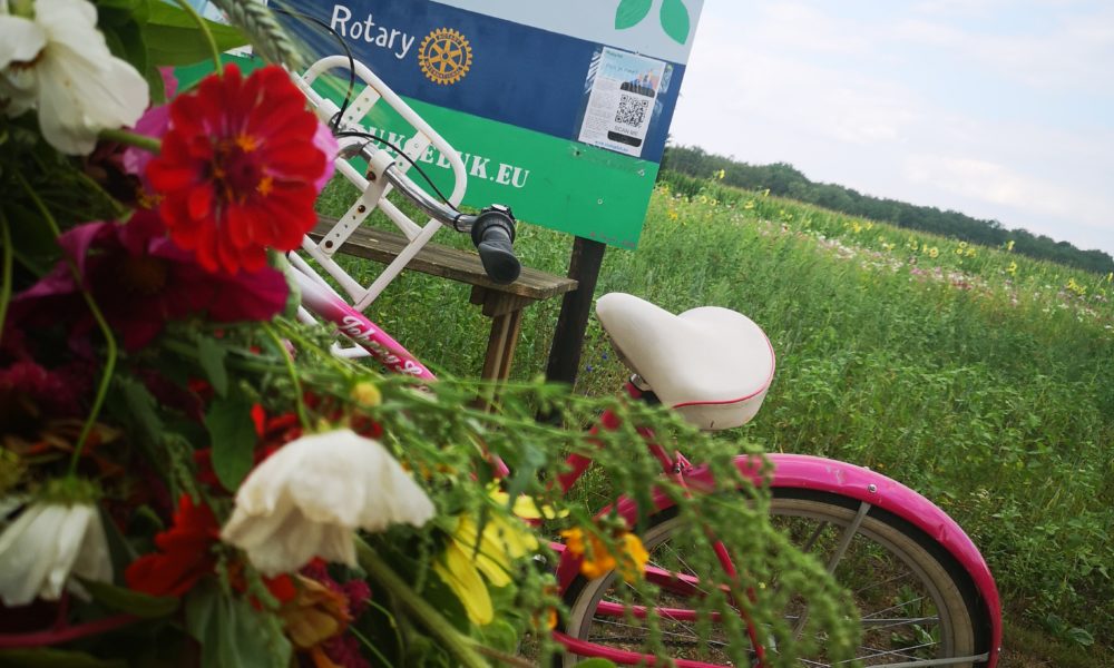 Bloemrijk Laarbeek