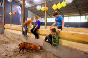 Sporten met de Laarbeekse Boeren