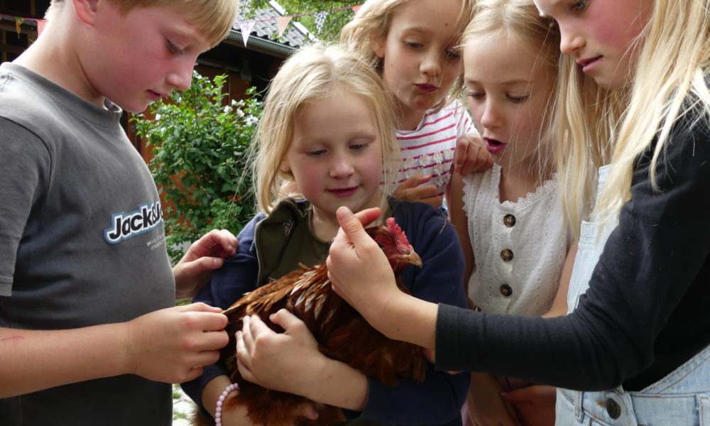 Welkom bij Biologische Tuinderij de Antoniushoeve!